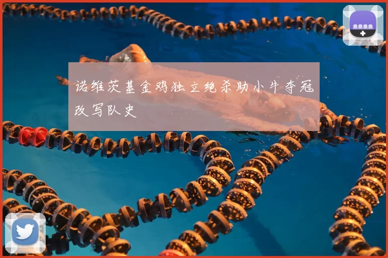 诺维茨基金鸡独立绝杀助小牛夺冠改写队史