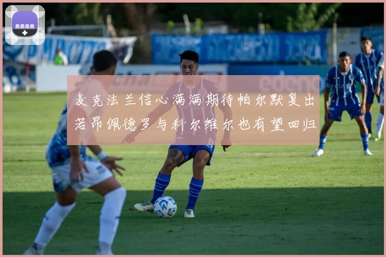 麦克法兰信心满满期待帕尔默复出若昂佩德罗与科尔维尔也有望回归