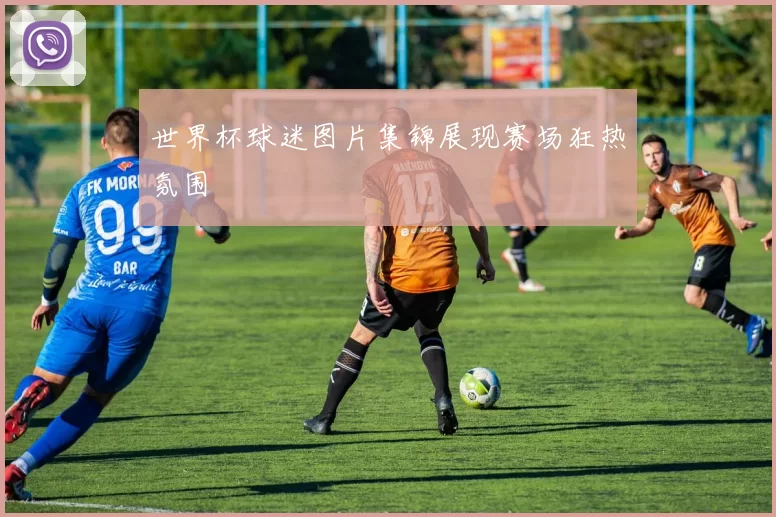 世界杯球迷图片集锦展现赛场狂热氛围