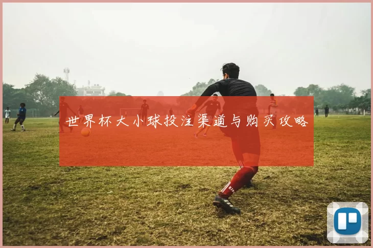 世界杯大小球投注渠道与购买攻略