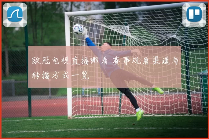 欧冠电视直播哪看 赛事观看渠道与转播方式一览