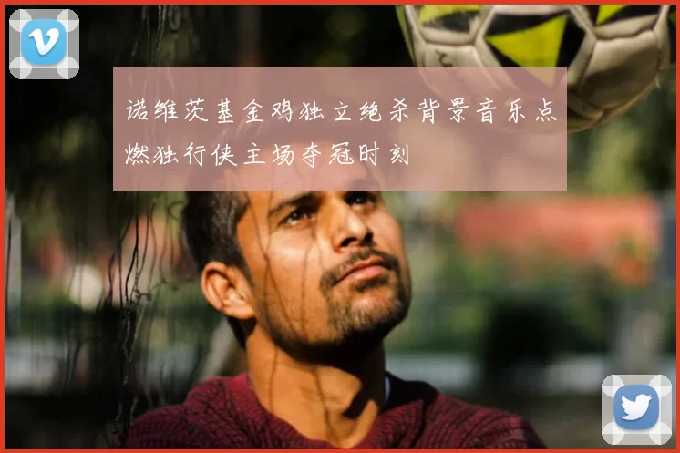 诺维茨基金鸡独立绝杀背景音乐点燃独行侠主场夺冠时刻