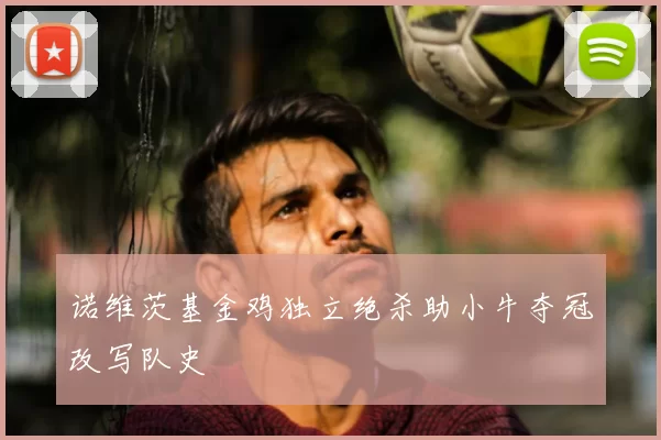 诺维茨基金鸡独立绝杀助小牛夺冠改写队史