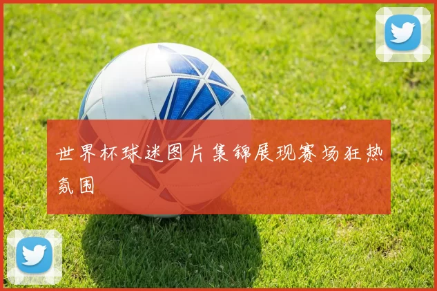 世界杯球迷图片集锦展现赛场狂热氛围