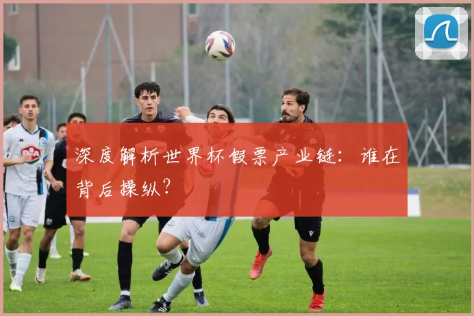 深度解析世界杯假票产业链：谁在背后操纵？