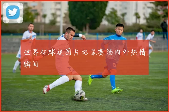 世界杯球迷图片记录赛场内外热情瞬间