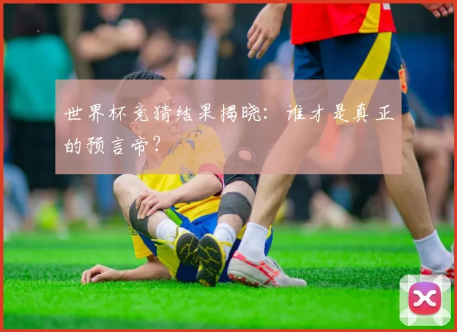 世界杯竞猜结果揭晓：谁才是真正的预言帝？