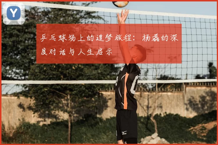 乒乓球场上的追梦旅程：杨磊的深度对话与人生启示