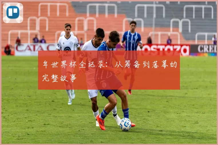 年世界杯全记录：从筹备到落幕的完整故事
